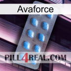 Avaforce viagra3